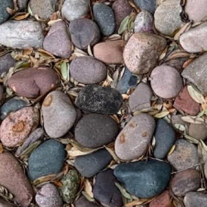 Hide A Spare Key Outside Fake Rock